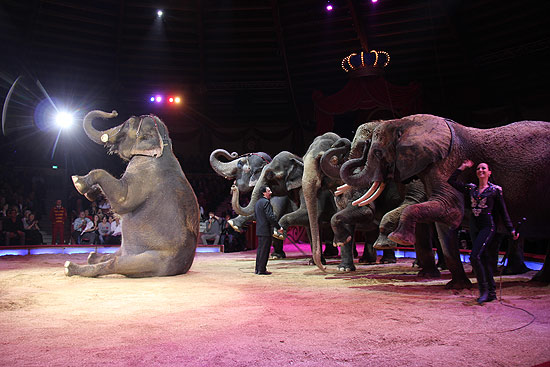 Jana Mandana und James Puydebois: Elefanten (©Foto: Martin Schmitz)